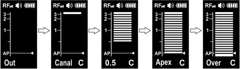 apex5-1024x296 копия.jpg