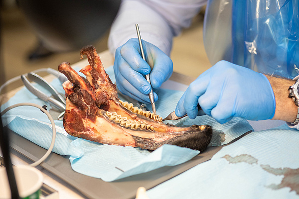 10 сентября Вольберг22.jpg