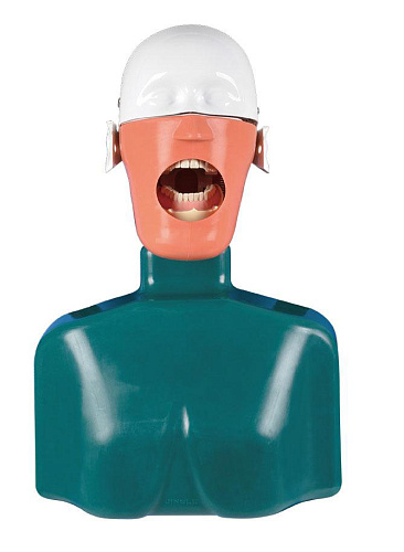 Jingle JG-C2 — Стоматологический фантом пациента мобильный